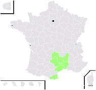 Thlaspi alpestre subsp. occitanicum (Jord.) Rouy & Foucaud - carte de répartition