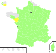 Thlaspi martiale Jord. - carte de répartition