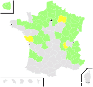 Heracleum mantegazzianum Sommier & Levier - carte de répartition