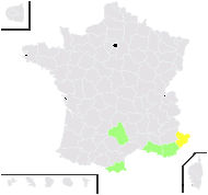 Opuntia parva A.Berger - carte de répartition