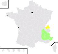 Heracleum pumilum Vill. - carte de répartition