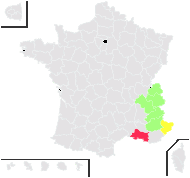 Medium barbatum (L.) Spach - carte de répartition