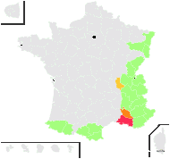 Campanula tenella Jord. - carte de répartition