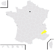 Campanula elatines L. - carte de répartition