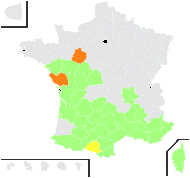 Campanula parviflora St.-Lag. - carte de répartition