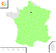 Campanula glomerata L. - carte de répartition