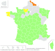 Campanula patula L. - carte de répartition