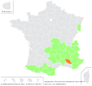 Campanula scheuchzeri Vill. - carte de répartition