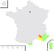 Triodanis falcata (Ten.) McVaugh - carte de répartition