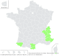 Phyteuma michelii subsp. scaposum (R.Schulz) P.Fourn. - carte de répartition