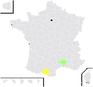 Phyteuma globulariifolium subsp. rupicola (Braun-Blanq.) O.Bolòs & Vigo - carte de répartition