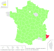 Phyteuma spicatum L. - carte de répartition