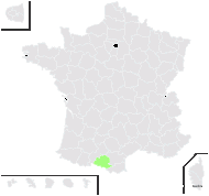 Gymnadenia ×anacamptis F.Wilms - carte de répartition