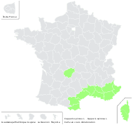 Capparis spinosa L. - carte de répartition