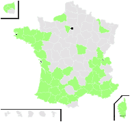 Caprifolium japonicum (Thunb.) Kuntze - carte de répartition