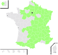 Sambucus racemosa L. subsp. racemosa - carte de répartition