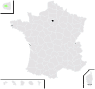 Hydrocotyle sibthorpioides Lam. - carte de répartition