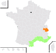 Bufonia perennis Pourr. - carte de répartition