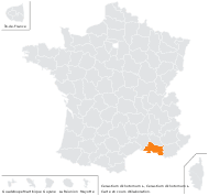 Cerastium dichotomum L. - carte de répartition