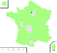 Cerastium fontanum subsp. triviale (Link) Jalás - carte de répartition