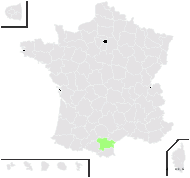 Cerastium arenarium Ten. - carte de répartition