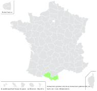 Cerastium pyrenaicum J.Gay - carte de répartition