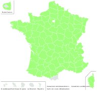 Cerastium semidecandrum L. - carte de répartition