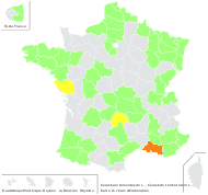 Cerastium tomentosum L. - carte de répartition