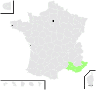 Dianthus balbisii var. medius Rouy & Foucaud - carte de répartition