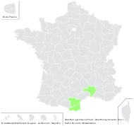 Dianthus pyrenaicus Pourr. - carte de répartition