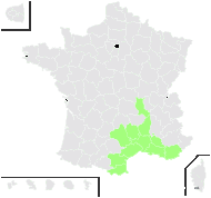 Dianthus godronianus Jord. - carte de répartition