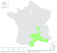 Dianthus godronianus Jord. - carte de répartition