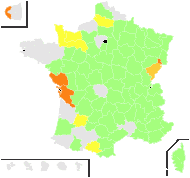 Holosteum umbellatum L. - carte de répartition