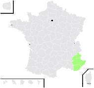 Holosteum breistrofferi Greuter & Charpin - carte de répartition