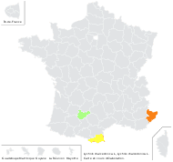 Lychnis chalcedonica L. - carte de répartition