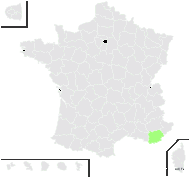 Arenaria fasciculata subsp. cymifera (Rouy & Foucaud) Bonnier - carte de répartition