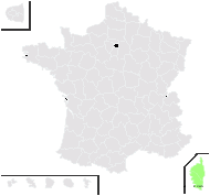 Mutellina corsica (J.Gay) Reduron, Pimenov & Leonov var. corsica - carte de répartition