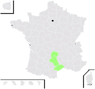 Alsine condensata (C.Presl) Fenzl - carte de répartition