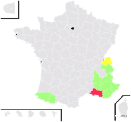 Minuartia villarii (Balb.) Wilczek & Chenevard - carte de répartition