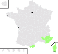 Moenchia erecta subsp. octandra (Moris) Cout. - carte de répartition