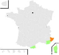 Tunica prolifera proles velutina (Guss.) Rouy & Foucaud - carte de répartition