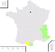 Spergula glabra Willd. - carte de répartition