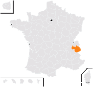 Sagina intermedia Fenzl - carte de répartition