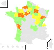 Sagina merinoi Pau - carte de répartition