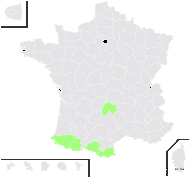 Sagina pyrenaica Rouy - carte de répartition