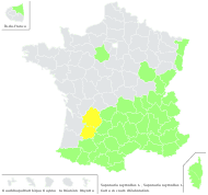 Saponaria ocymoides L. - carte de répartition