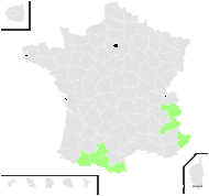 Silene acaulis proles exscapa (All.) Rouy & Foucaud - carte de répartition