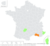 Silene bellidifolia Juss. ex Jacq. - carte de répartition