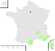 Chaerophyllum nodosum (L.) Crantz - carte de répartition