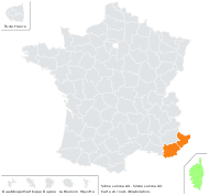 Silene sericea All. - carte de répartition